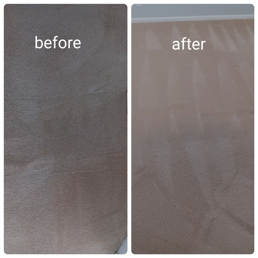 Professional Rug Cleaning in Pompano Beach, FL Professional Rug Cleaning in Pompano Beach, FL