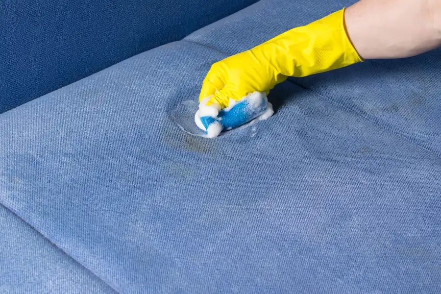 Excellent Upholstery Cleaning Services Pompano Beach FL Excellent Upholstery Cleaning Services Pompano Beach FL